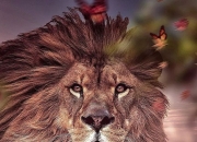 开云体育APP下载-关于一场引人入胜的比赛令人惊叹的信息