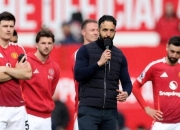 开云体育APP下载-狼队客场被逼平，保级压力增加的简单介绍