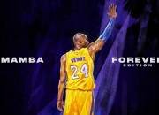 开云体育官方网站-跨越东西的篮球传奇，郭艾伦关键制胜，辽宁队完胜凯尔特人的背后意义