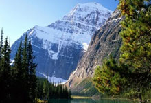 开云官方app入口-包含FLY横扫XL，Selfmade关键制胜的词条