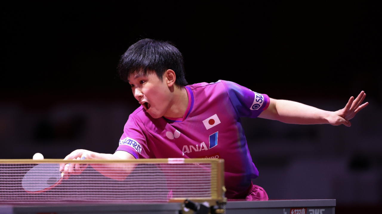 包含波兰乒乓球队完胜比利时乒乓球队,张本智和高光表现的词条 包含波兰乒乓球队完胜比利时乒乓球队,张本智和高光表现的词条