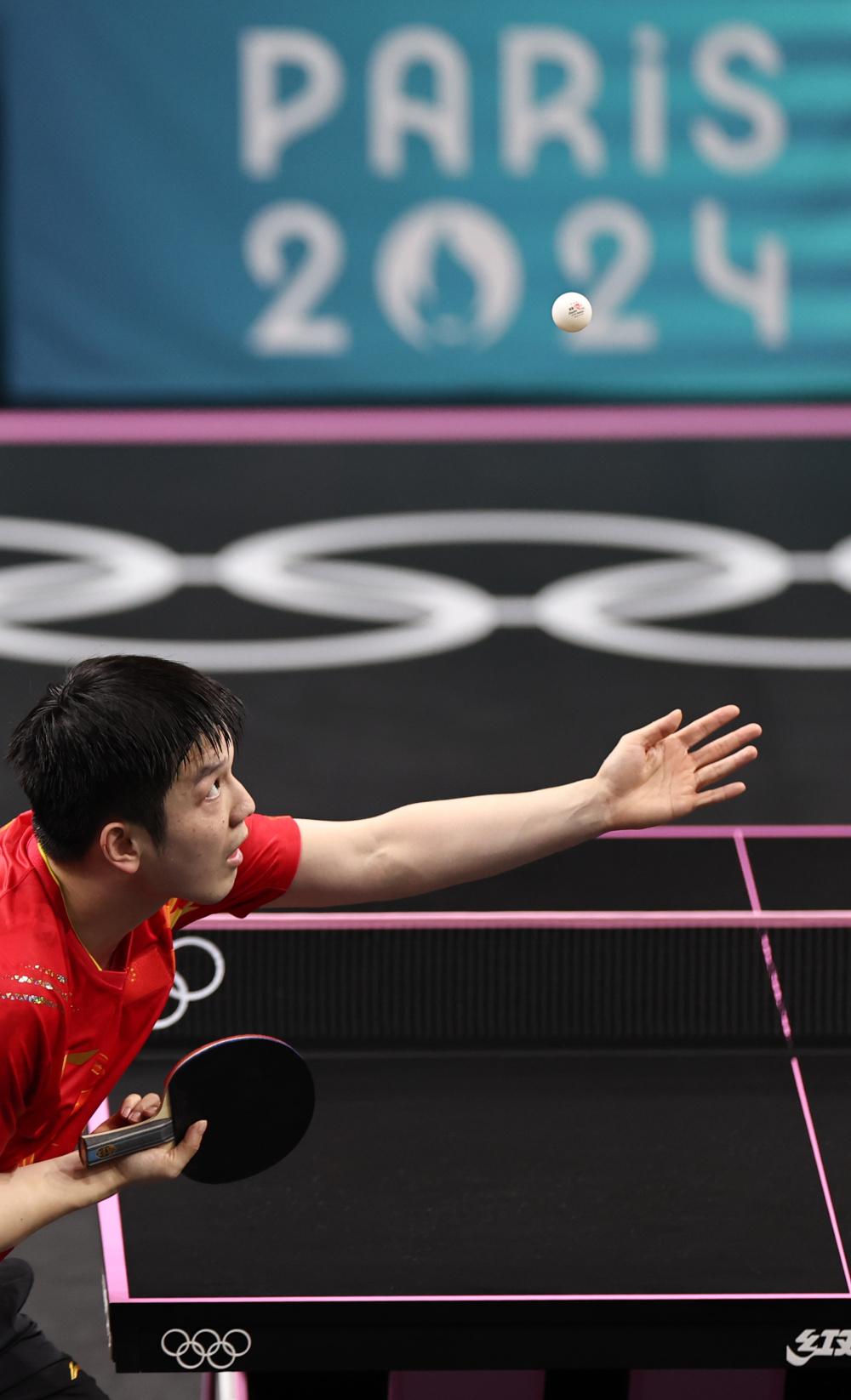 波兰乒乓球队逆转法国乒乓球队,樊振东高光表现的简单介绍 波兰乒乓球队逆转法国乒乓球队,樊振东高光表现的简单介绍