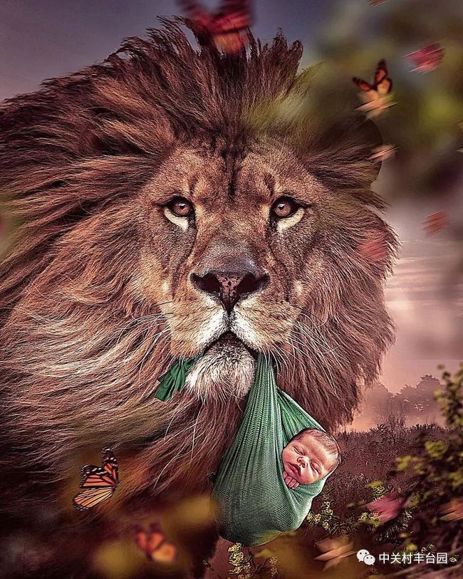 关于一场引人入胜的比赛令人惊叹的信息 关于一场引人入胜的比赛令人惊叹的信息