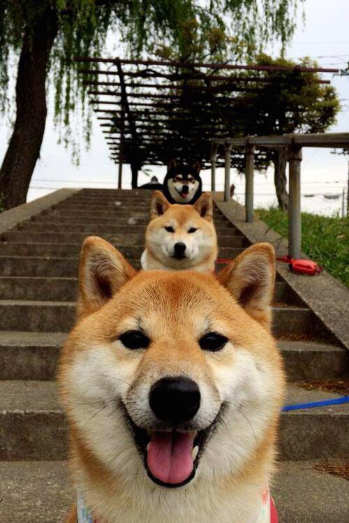 京多安一锤定音，爱尔兰力克葡萄牙，全场最佳无争议