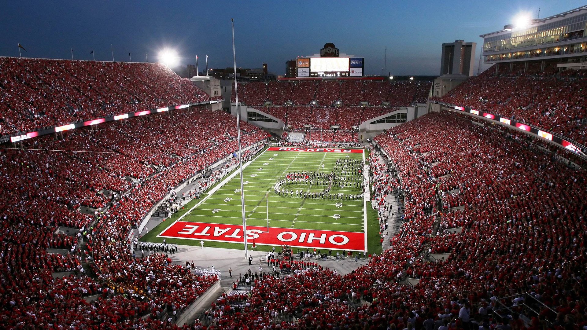 步行者的节奏，戈贝尔的森林，当篮球智慧跨越赛场边界